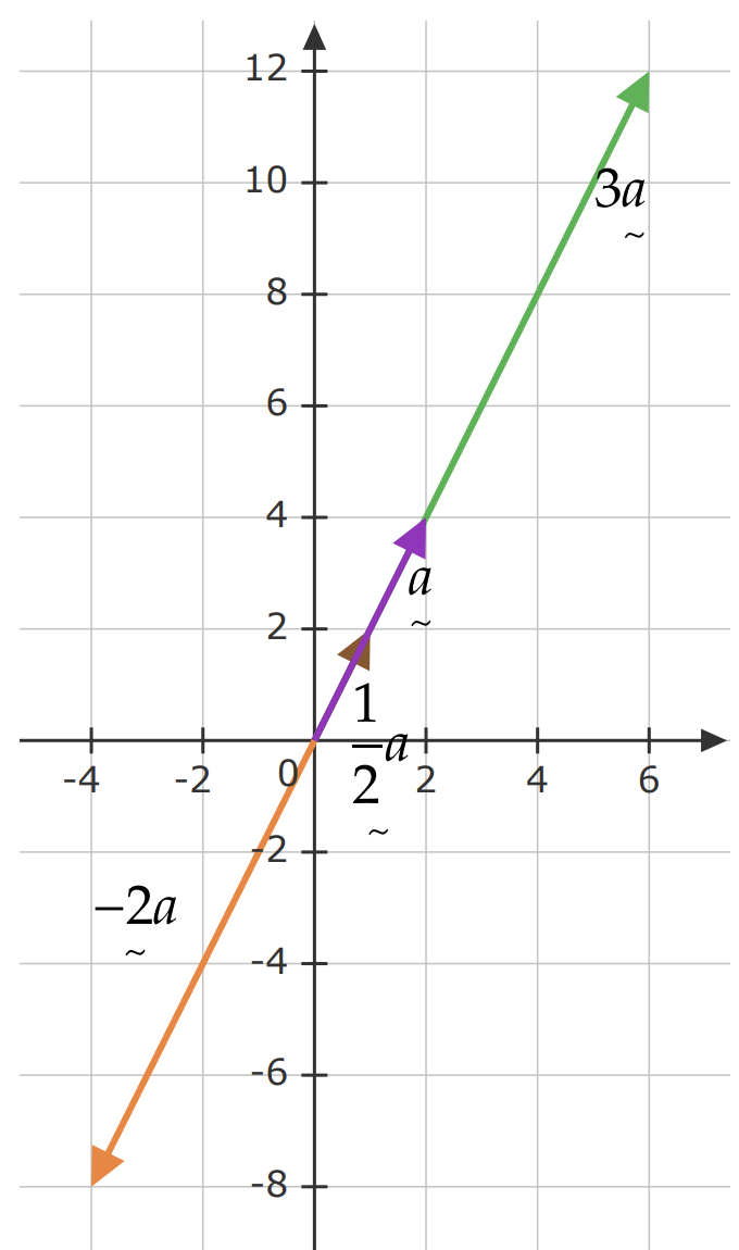 Graph for solution of Question 1(i)